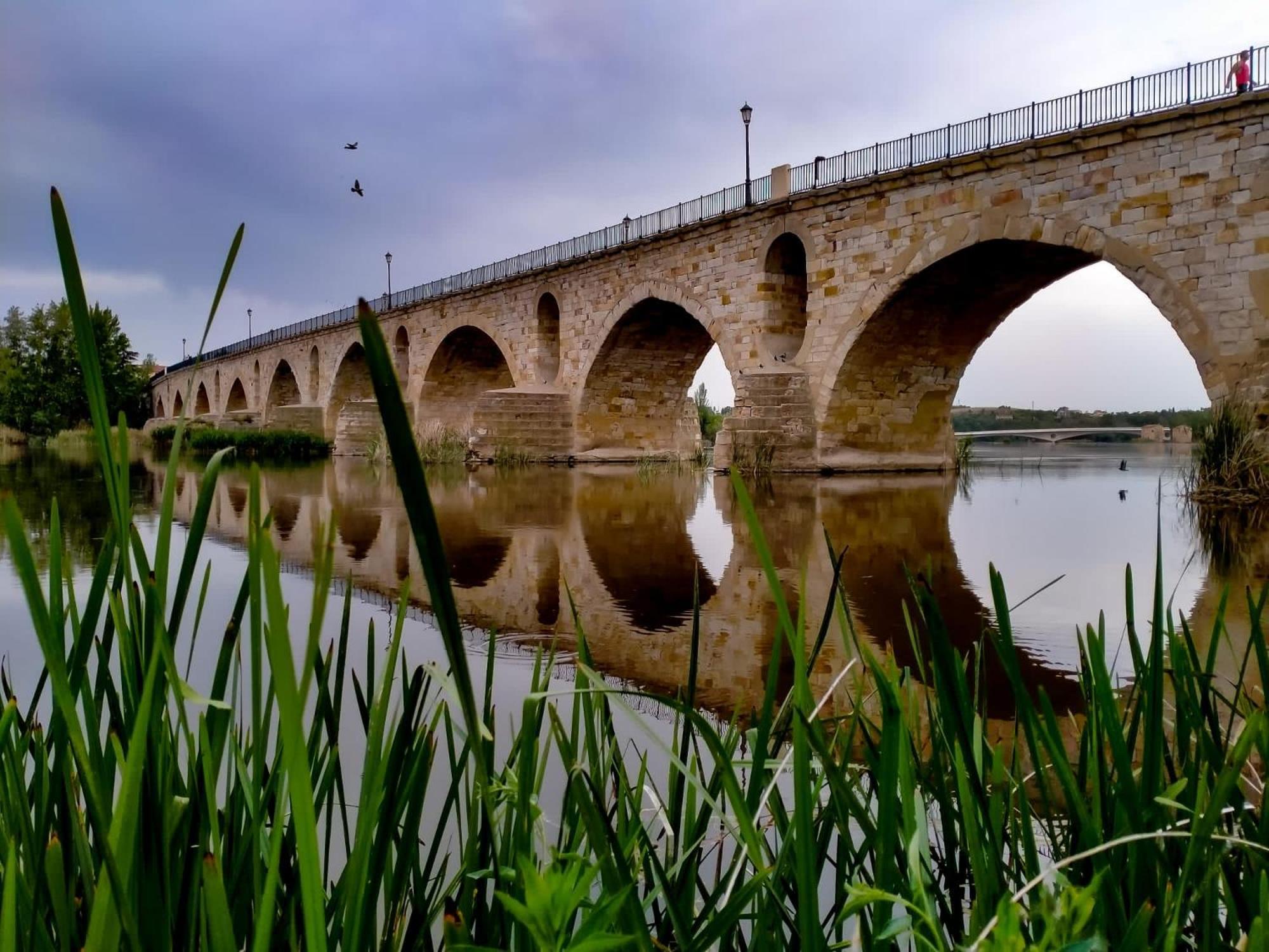 Hotel Puente De Piedra Zamora Eksteriør billede